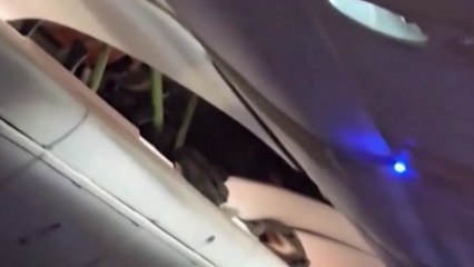 브라질 상공에서 난기류 만난 여객기 비상착륙...30명 부상 / YTN