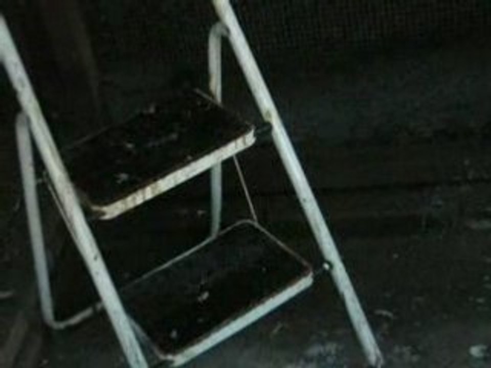 Mistinguette-Pienut et corneille d'éric