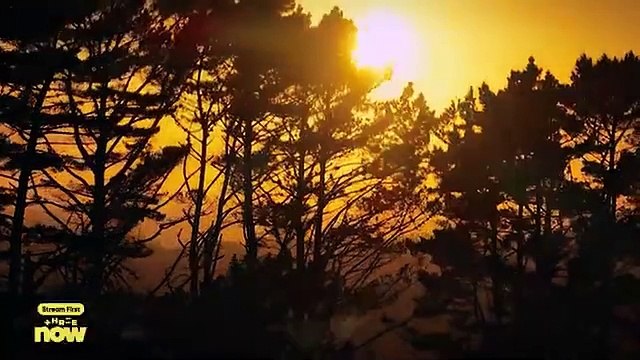 The Traitors (NZ) Saison 1 - The Traitors New Zealand (NZ) Official Trailer (EN)