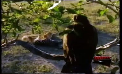 BEŞİKTAŞ BELGESELİ 100 YILIN ÖYKÜSÜ - 4.BÖLÜM