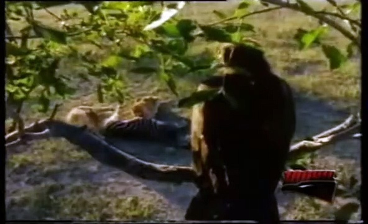 BEŞİKTAŞ BELGESELİ 100 YILIN ÖYKÜSÜ - 4.BÖLÜM