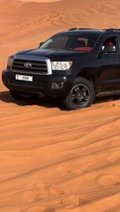 Dubai  Desert ️ safari ride ❤️ royal pledge tourism