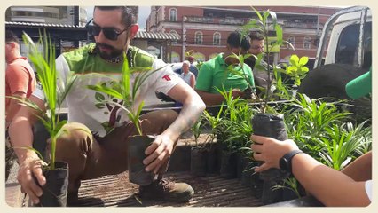 PLANTATON 2024 2DA ENTREGA DE ÁRBOLES