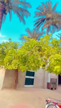 BB696497-7360-4FE2-9A66-5B6CC6CF670F