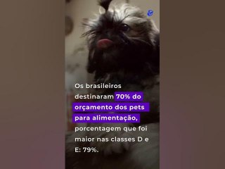 Gastos com pets crescem na pandemia