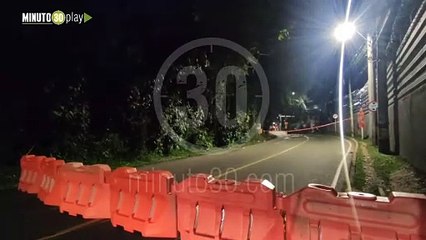 Más de 24 horas se cumple la vía Loreto - Palmas cerrada por caída de árboles