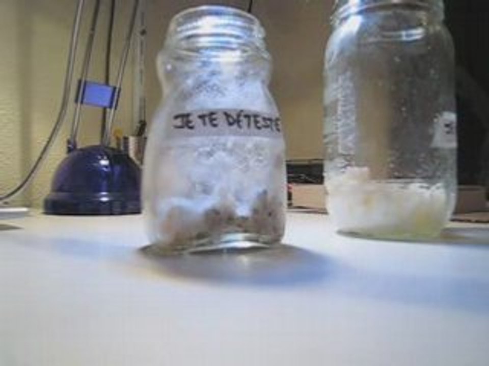 Experience du riz : pensée sur la matière