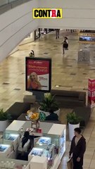 ¡ASALTO PERRÓN! CAPTAN EN VIDEO A PERRITO QUE SE ROBÓ UN PELUCHE DE CENTRO COMERCIAL