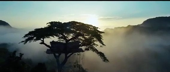 Tarzan Bande-annonce (PT)