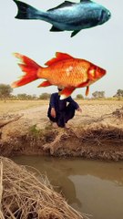 New content short video how to create a content l