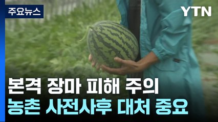 폭우·태풍에 좌우될 한 해 농사...피해 줄이려면? / YTN
