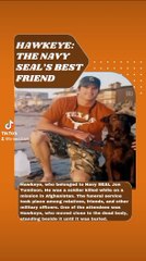 Heartwarming Dog Stories That Will Warm Your Soul.