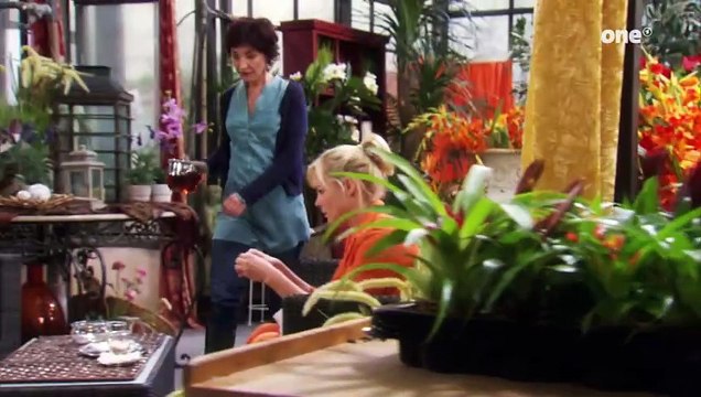 Rote Rosen Folge 1164