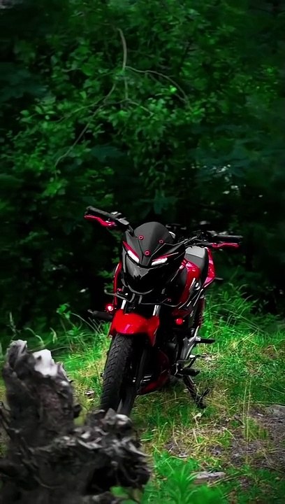 Bike lover