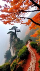 Beautiful bird's sounds