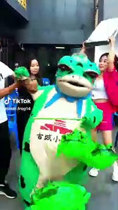 Funny Frog Video