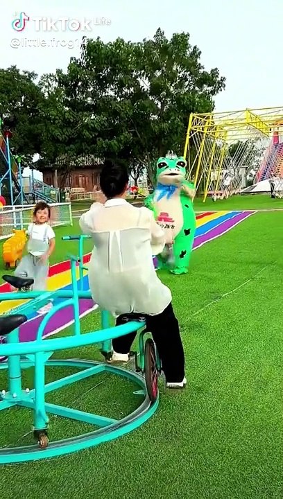 Frog Video Funny