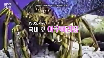 [현장의재구성] 각종 "한국 최초" 아쿠아리움 '굿바이' 39년 만에 폐관