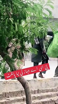 Tiktok most viral video 10M views