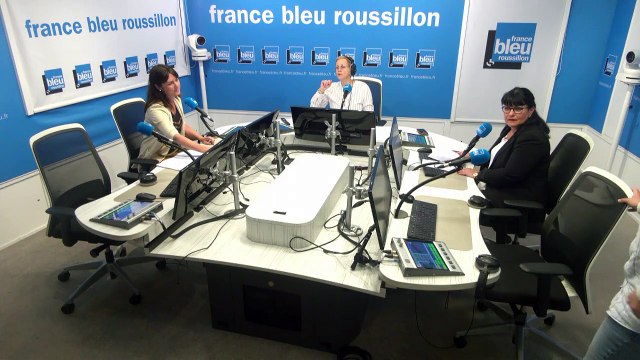Législatives : Débat d'entre deux-tours dans la 3è circonscription des Pyrénées-Orientales
