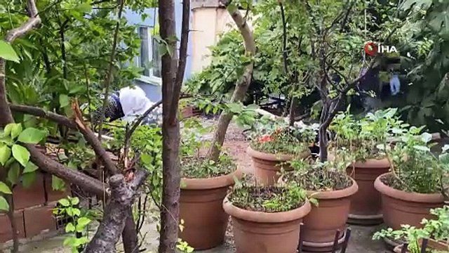Yaşlı kadın tavukları için çıktığı çatıda mahsur kaldı