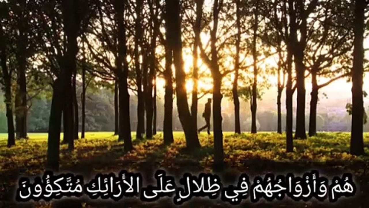 Quran recitation