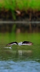 What a Beautiful scene