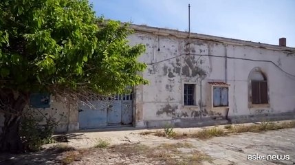 Biodiversit? in volo, terza edizione tra l'Asinara e Barcellona