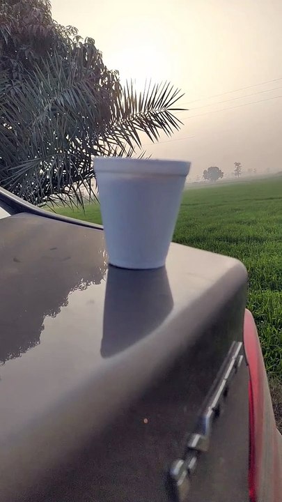Natural view