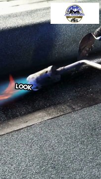 Commercial Roofing San Antonio