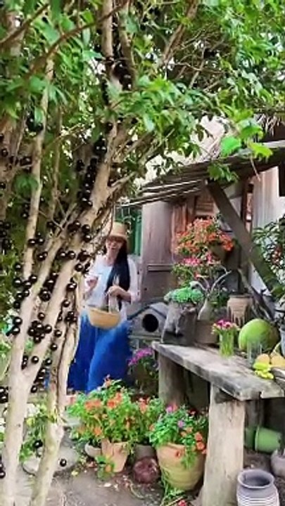 Enjoy beautiful nature with rural life # 449