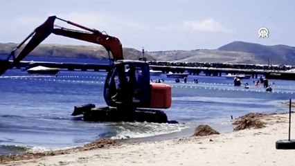 Koruma altındaki deniz çayırlarını kepçe ile söktüler