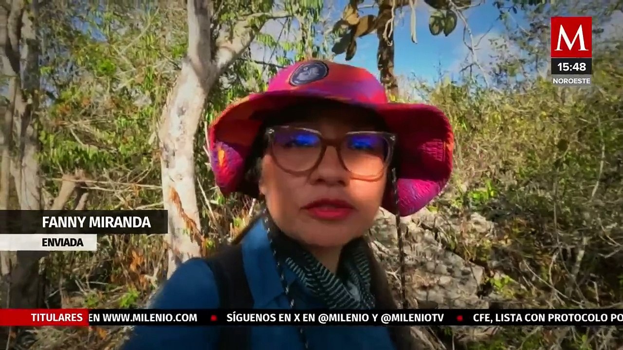 En Ecuador, realizan investigación sobre las tortugas gigantes | Milenio Hábitat