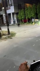 Local_h_bhai___#dog_#dog_#gallyfog_#streetdogs_#funny_#fun_#night_#enjoy_#viral