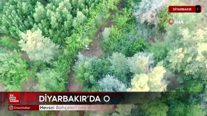 Diyarbakır'da dron destekli uyuşturucu operasyonu
