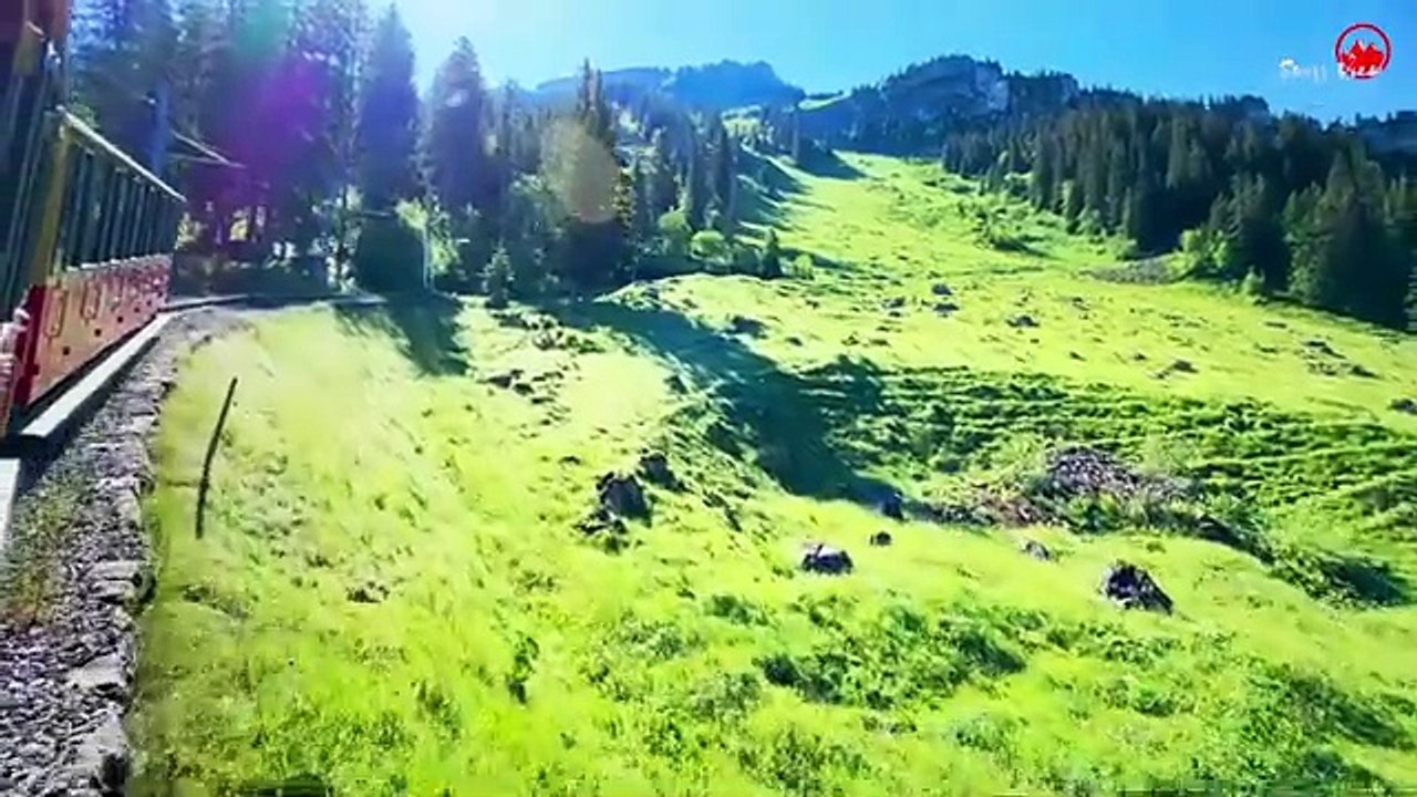 World's Most Scenic Train Journey in Switzerland | Schynige Platte | Top of Swiss Tradition