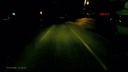 Edirne'de minibüsün çarptığı sürüdeki 16 koyun öldü