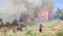 Adana’nın Kozan ilçesinde orman yangını