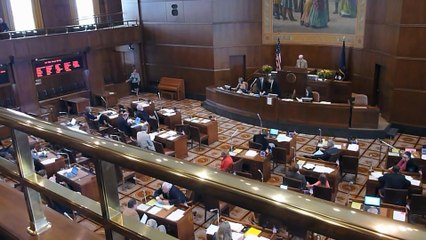 Buy the Warrior's Guide for Defendants