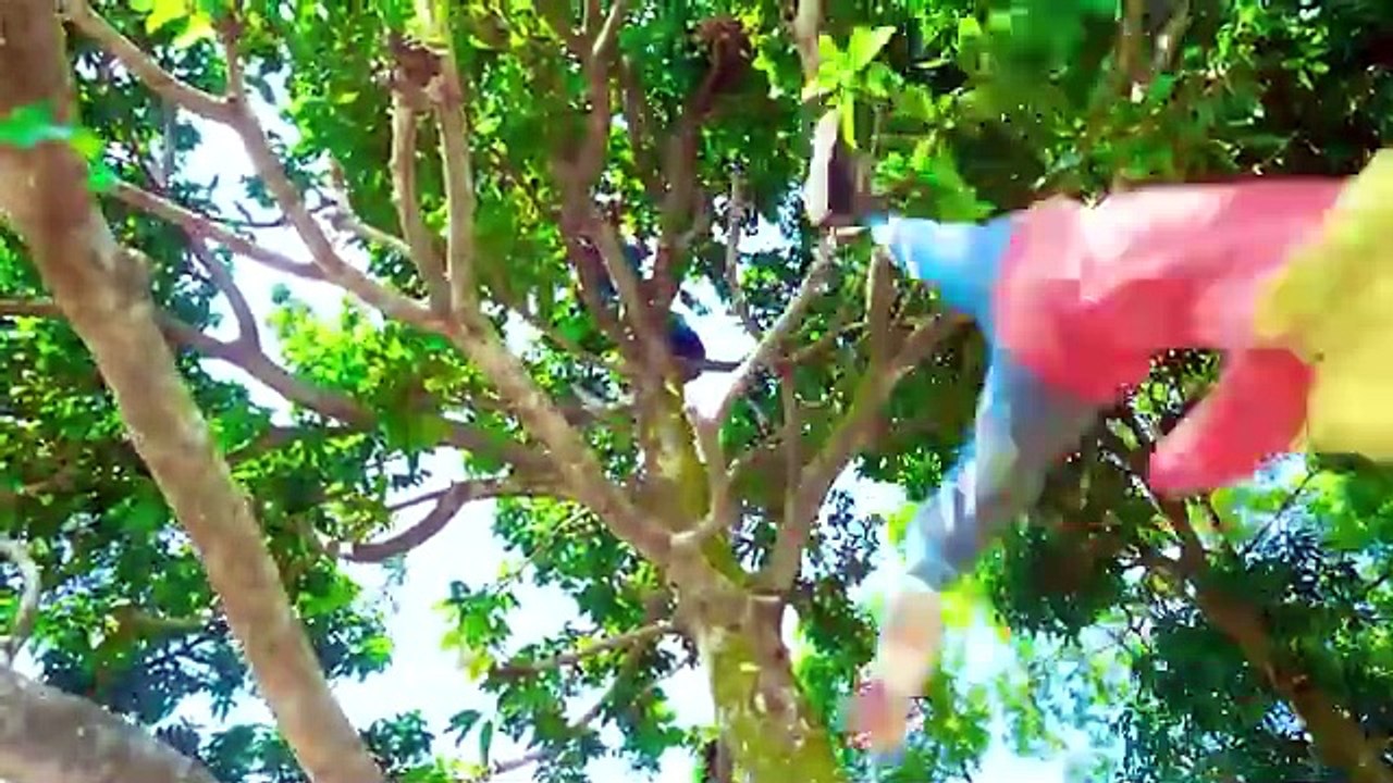 Shaktiman And Monkey Special Trending Funny Comedy Video 2024--Amazing Comedy Video 2024 Episode 272(360P)