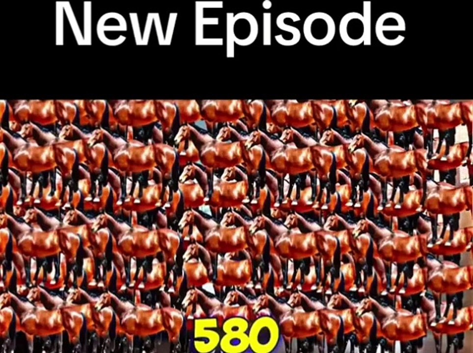 Mr Beast New Vlog