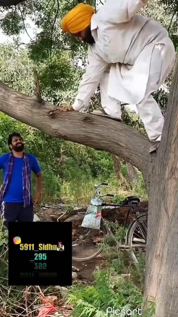 Funny video Funny
