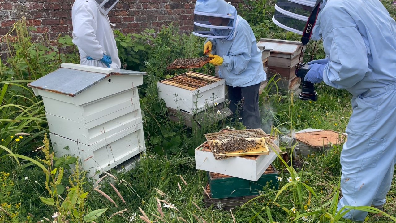 Glasgow hospice receives donation of beehives