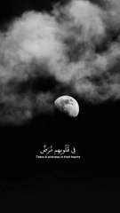 فِي قُلُوبِهِم مَّرَضٌ فَزَادَهُمُ اللَّهُ مَرَضًا