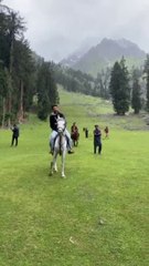 Naltar valley Gilgit