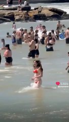 Very nice and hot video