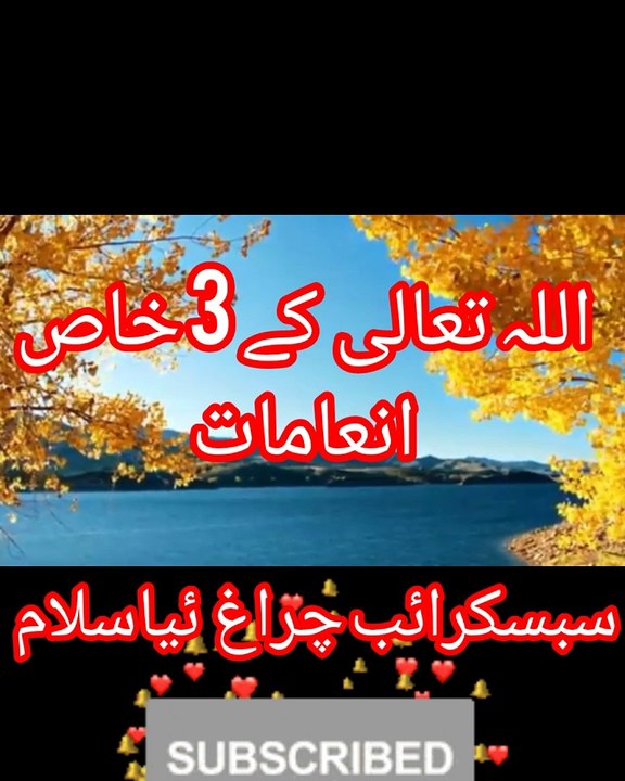 اللہ تعالی  کے 3خاص انعامات