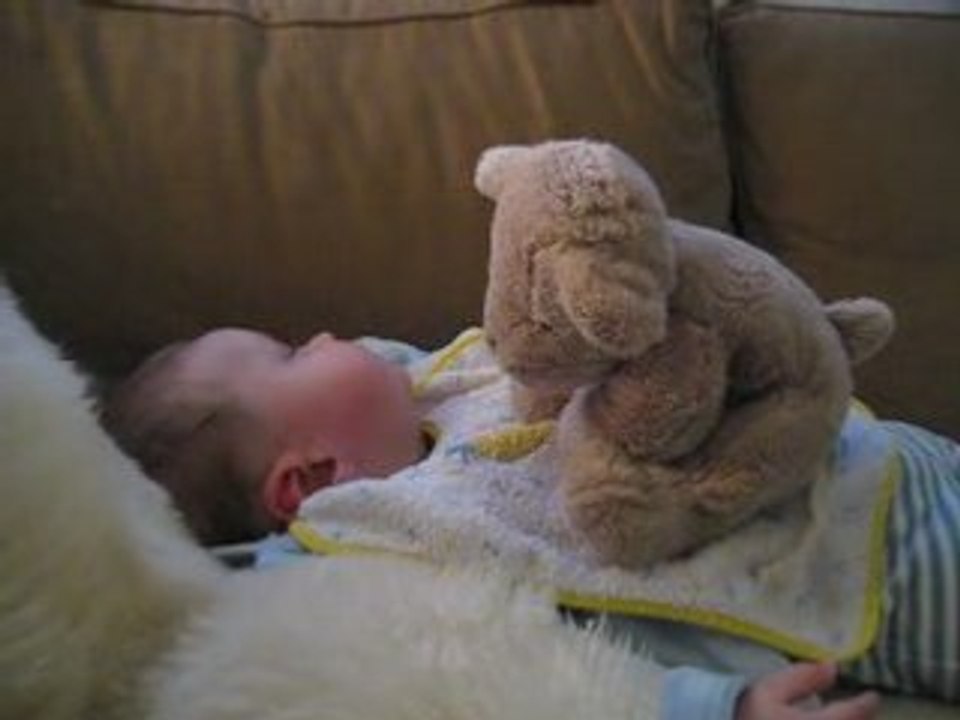L'ours