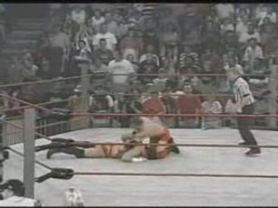 Nwa-Tna Finisher - Petey Williams Canadian Destroyer