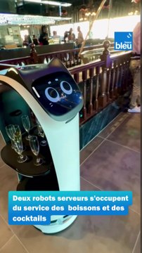 Les premiers robots serveurs de Dordogne